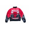 NBA Chicago Bulls Jeff Hamilton Leather Jacket